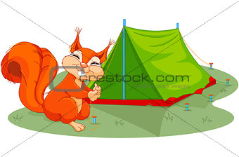 Squirrel sets tent