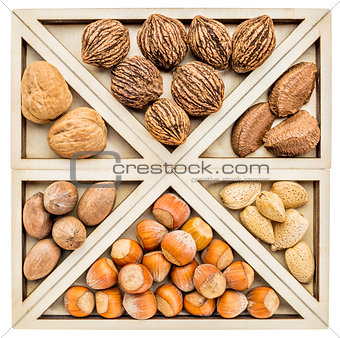 variety of nuts in shells