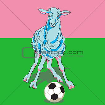sheep playing football