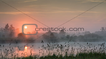 Purple sunrise over a lake