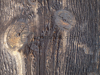 Old wooden board viewed from up close.