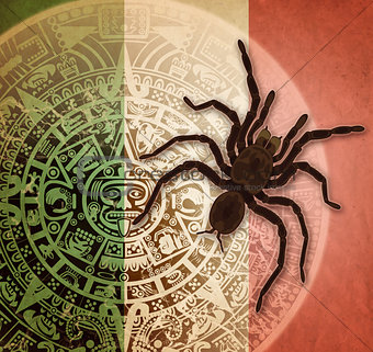 Background with Aztec calendar and tarantula