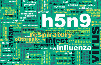 H5N9