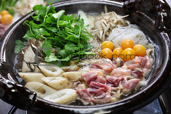 japanese chicken hot pot cuisine, kritanpo nabe with hinaizidori
