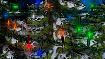 Winter Christmas Fir Tree with Lights