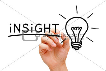 Insight Light Bulb Concept