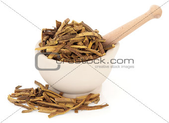 Amur Cork Tree Bark Herb