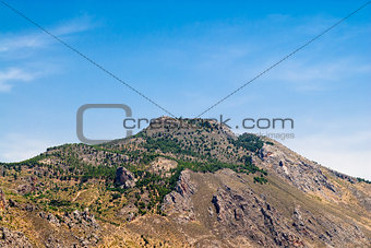 Desert mountain with sparse trees