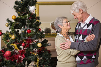 Senior couple decorating their christmas tree