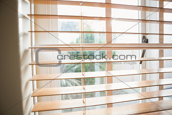 Close up of open blinds