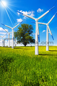 Electric Wind Generators in Countryside