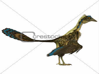 Archaeopteryx Side Profile