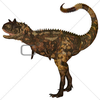 Carnotaurus Dinosaur 