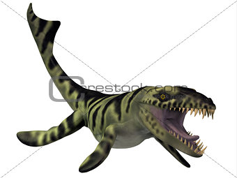 Dakosaurus Dinosaur