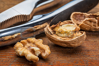 walnuts with nutcracker