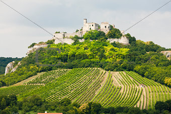 ruins of Falkenstein Castle with vineyard, Lower Austria, Austri