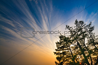 Red sunset and blue sky with tree branches at Baikal Lake Siberia