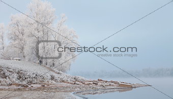 morning fog in winter