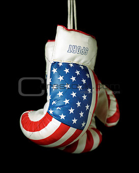 US Boxing Gloves
