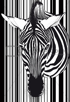 Zebra barcode Face and neck