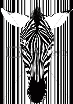 Zebra Barcode Face