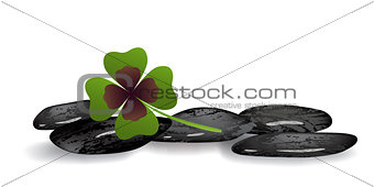 shamrock leaf on black stones