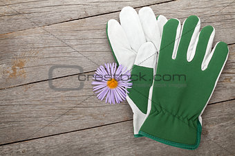 Pair of gloves and flower