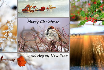 winter greeting card
