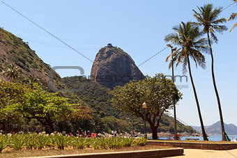 Mountain Sugarloaf square palm tree red beach, Rio de Janeiro