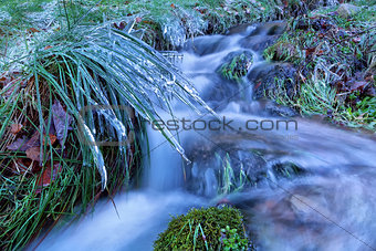 icicles on grass along mountain river