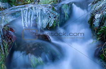 icicle on grass by river in winter