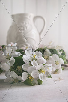 Apple blossom flowers with jug in background
