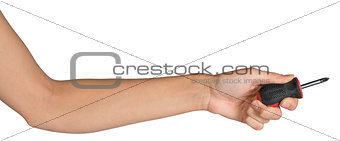 Female hand holding screwdriver