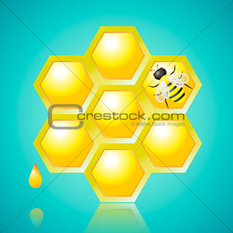 Honeycombs and Bee Vector Illustration