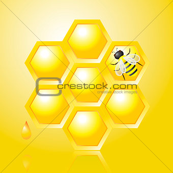 Honeycombs and Bee on Yellow Vector Illustration
