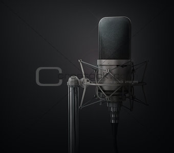 Microphone. Speaker concept.