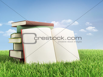 Stack of books and open book on the grass.