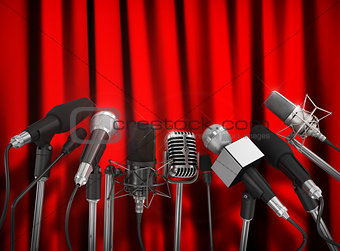 Various microphones aligned at press conference.