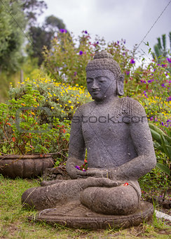 Single Stone Buddha