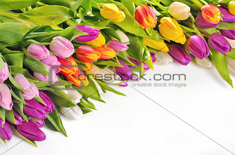 Colorful Tulips Flowers
