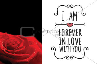 Composite image of red rose on black background
