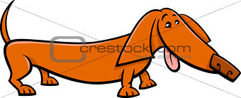 dachshund dog cartoon illustration