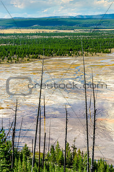 Landscape view of Grand Prismatic area with dry trees, Yellowsto