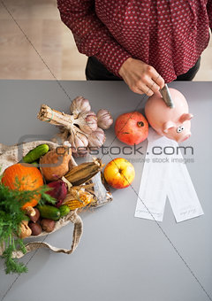 Closeup on young housewife putting money into piggy bank after s