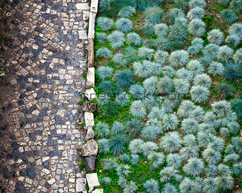 Cobbled Road and Green Plants in San Giorgio Fortress in Lisbon,