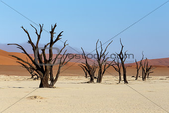 Sossusvlei beautiful landscape of death valley, namibia