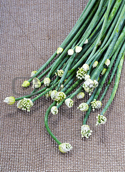 fresh Onion Flower Stem on brown mat