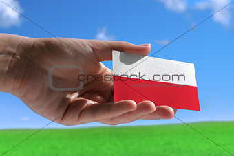 Small Polish flag