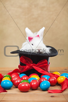 Cute but grumpy easter bunny with colorful dyed eggs