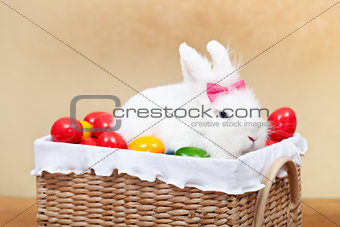 Cute easter bunny sitting in basket with colorful eggs - closeup